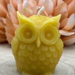 Owl Candle